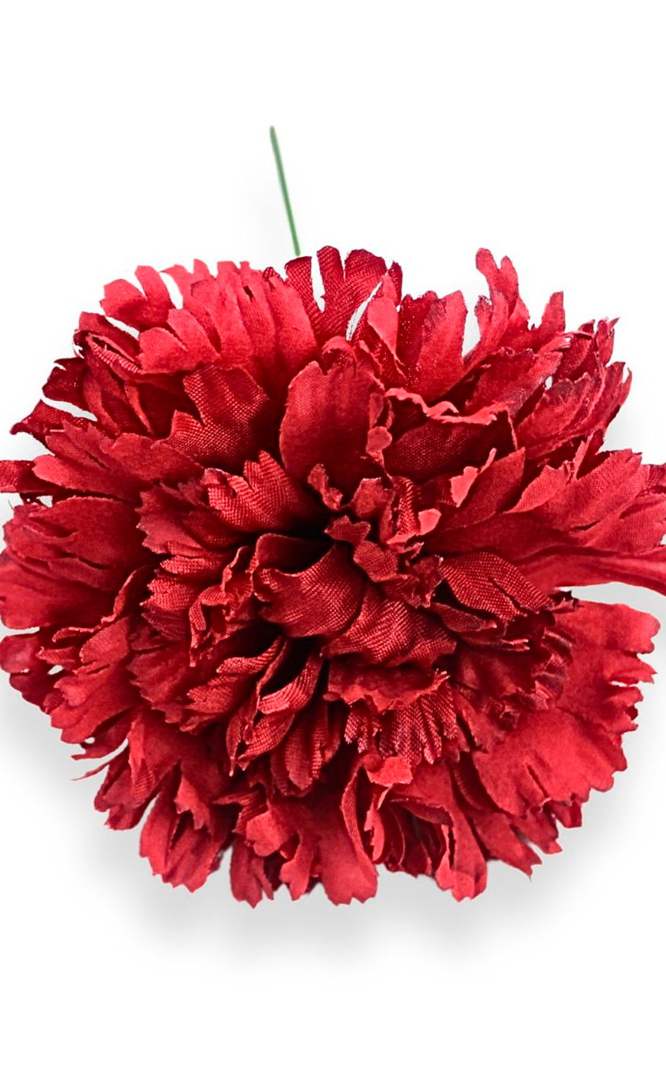 clavel.jpg
